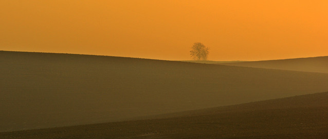 Hubert Cyzman #254604