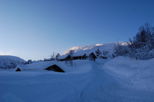 Maria Ostrowska #127134