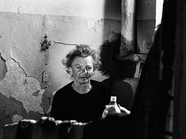 IslBG IslBG BigLebowski #305927