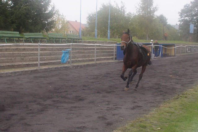grzesiorek #283188