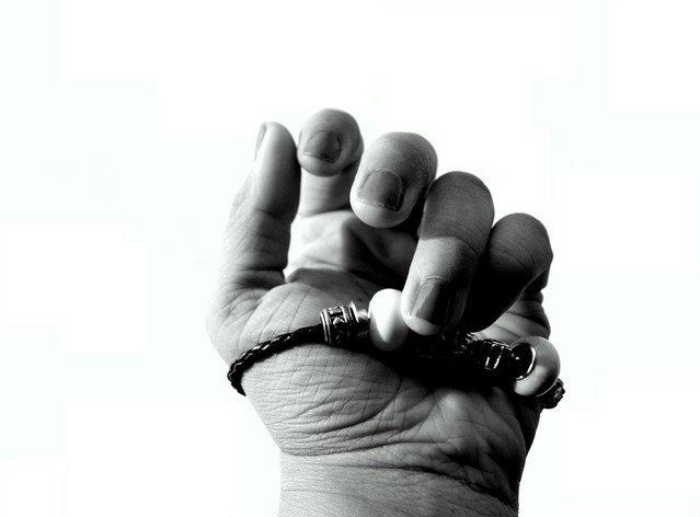 Picasa #168284