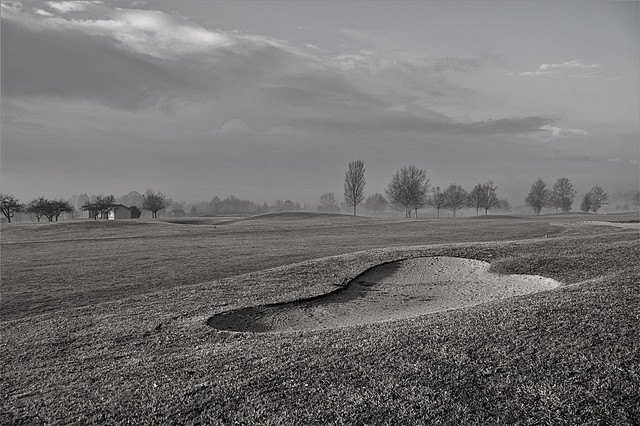 Jarek Jarecki #303089