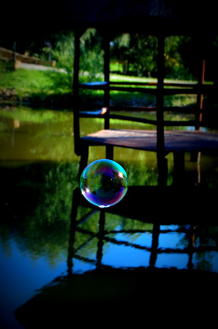 Picasa 