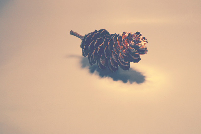 Wojciech Czerniakiewicz #201311