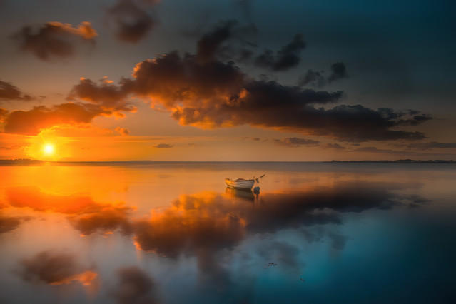 MikolajAniol #332165