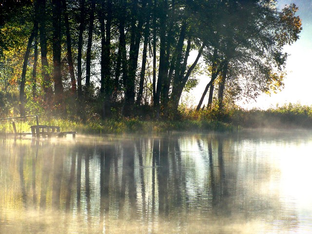 Krzysiek Cegiełka #236335