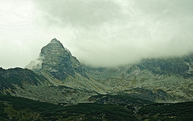 SONY DSC Piotr Frohlke #113601