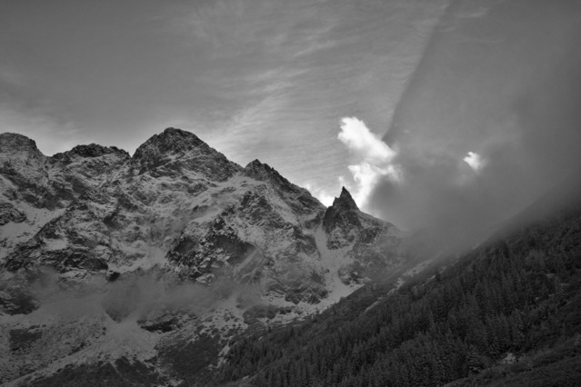 Sławomir Bogacz #267858