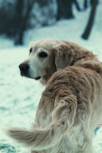 Marzena Sieradzka #183416