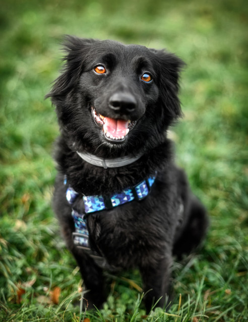 Tomasz Naglik #311363