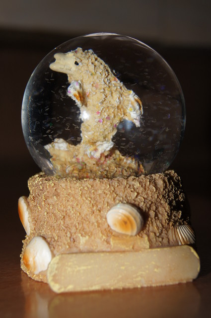 Derwisz | SONY DSC