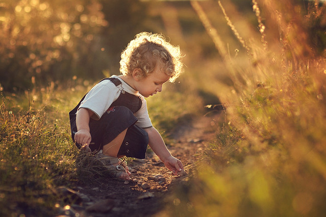 Urszula Antoniak ...