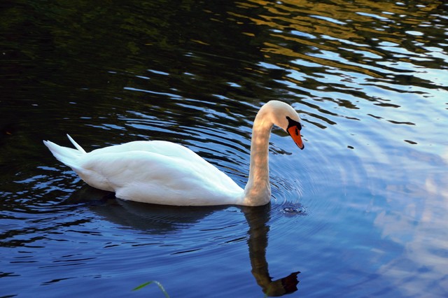 Jarek Jarecki #300073