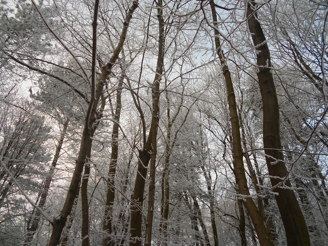 Artur Oziewicz #182811