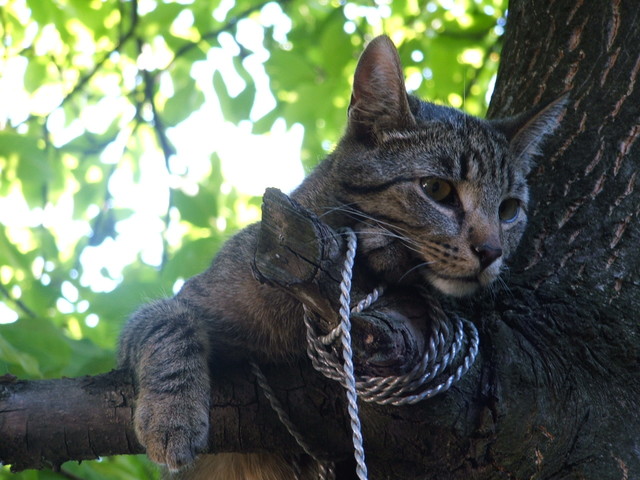 Karolina Skarżyńska #140306