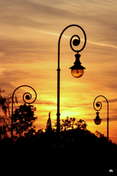 Picasa 
