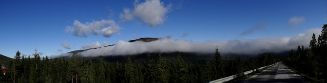 Andrzej Bachorski #108128