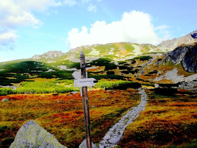 OLYMPUS DIGITAL CAMERA Picasa #179871