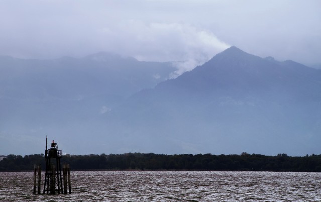 Jarek Jarecki #299217