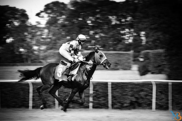 Bartosz Mrozowski #169849