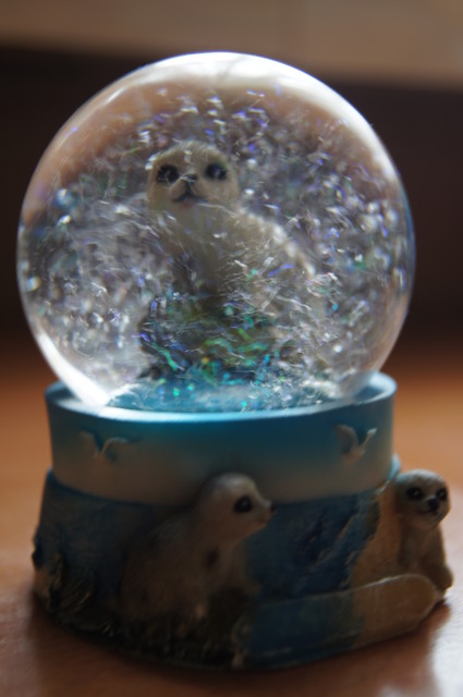 Derwisz | SONY DSC