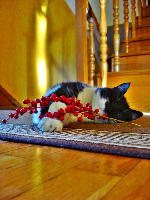 annaadamska12 #198364