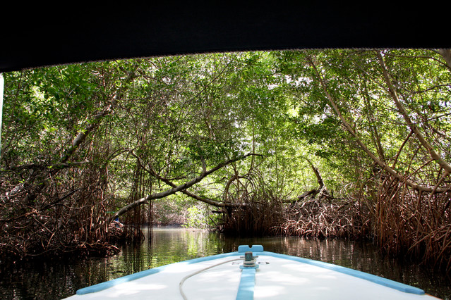 Laguna de la restinga ( Las namorzynowy ). Safari Jeep - Wyspa