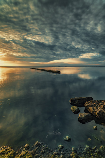 Jacek Plichta #318317