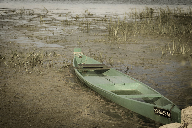 Krzysztof Bartkowski #248361