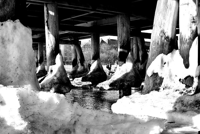 Paweł Kryściński #240133