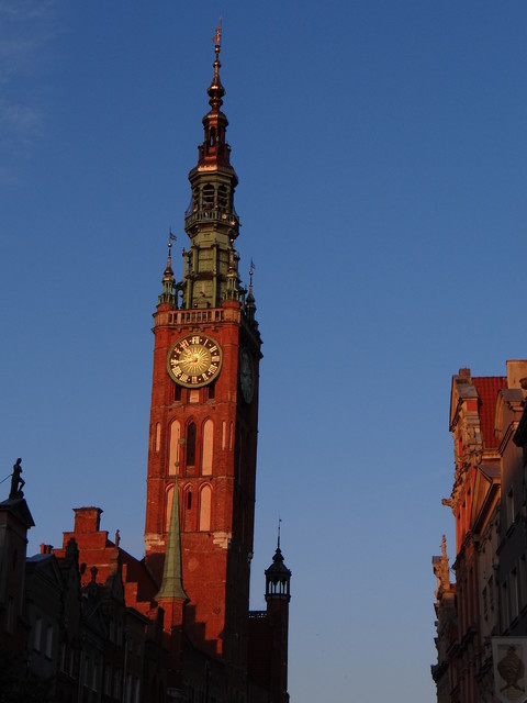 Lidia Stepniewska #234248