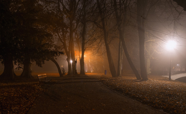 Park Miejski im. Stanisława Staszica w Pile Krzysztof Tollas
