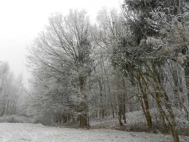 Artur Oziewicz #182801