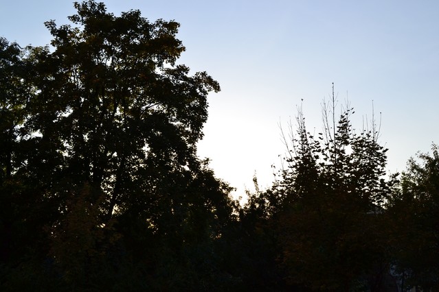 Aleksandra Kędzierska 