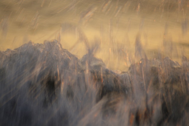 Tomasz Pisulla #237100