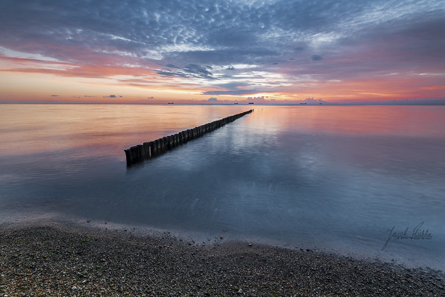 Jacek Plichta #318256