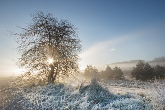 MR86 Mroźny poranek 