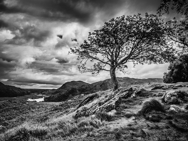 Ladies View Kerry @2016 TomaszOlczak #296776