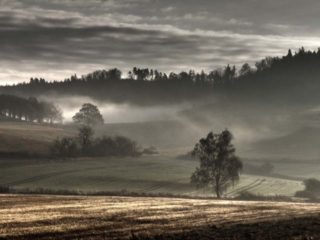 Talambur OLYMPUS DIGITAL CAMERA