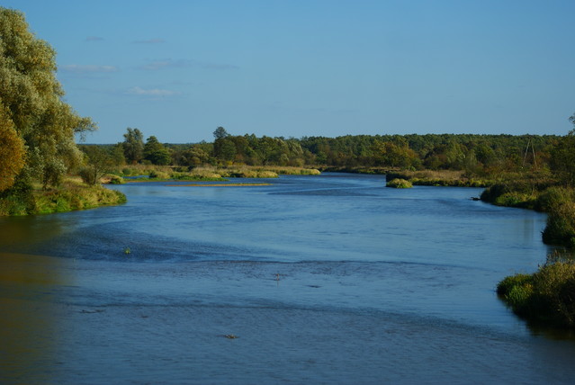 SONY DSC Misiekmaestro #173710