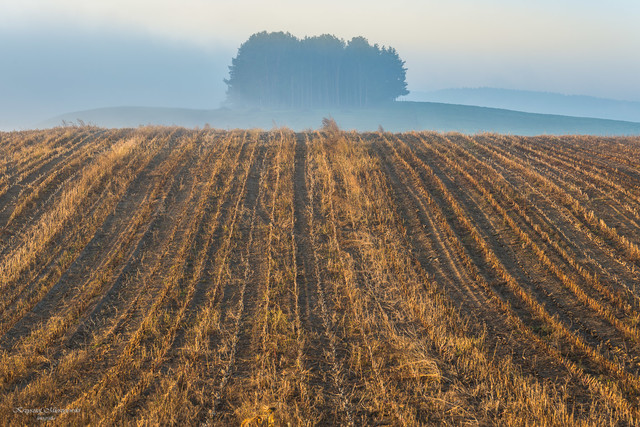 Suwalszczyzna K.Mierzejewski #320135