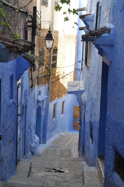 Paulina Ledwożyw #271459