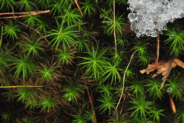 Paweł Kryściński #199500