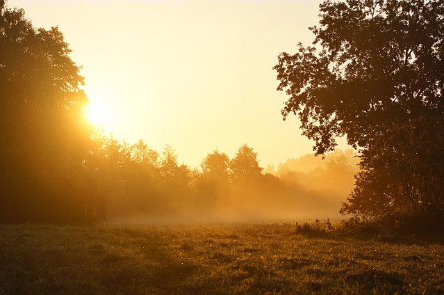 SONY DSC Piotr Frohlke #172761