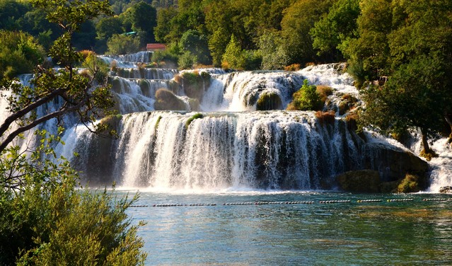 Janusz Mojżesz #269929