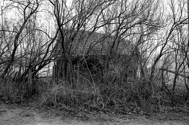 Bad Houses -series Picasa #281667