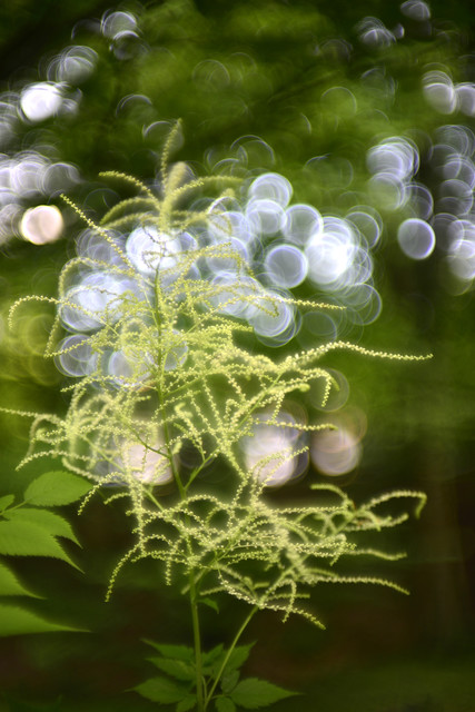 w Powsinie Dariusz WojtaIa #318790