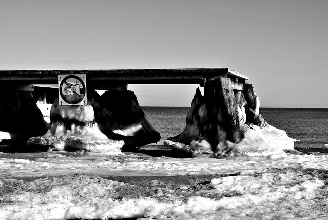 Paweł Kryściński #240140