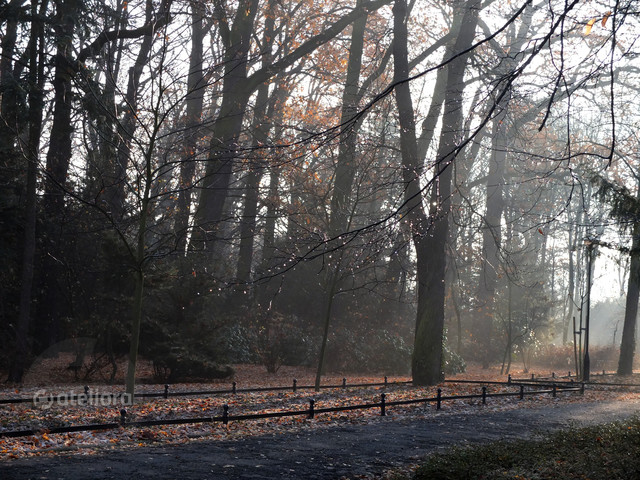 Park Szczytnicki w porannej mgle iwonek #179708