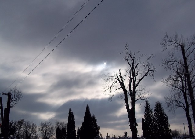 Anna Zalewska #191525